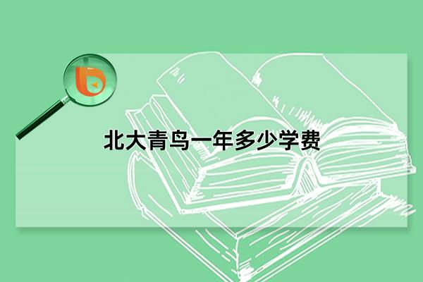 北大青鳥嘉華學校學費多少