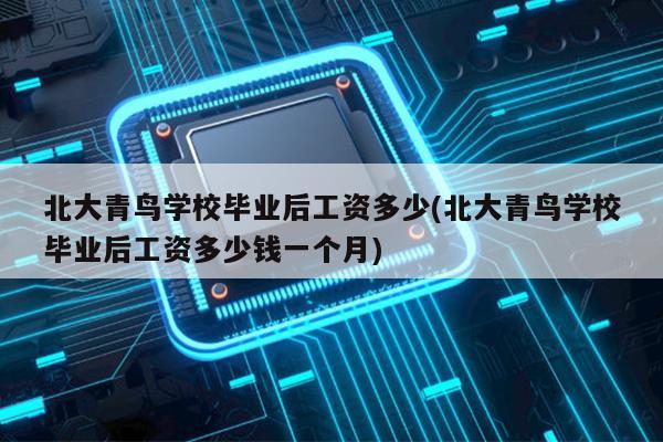 揭秘北大青鳥畢業后真實薪資