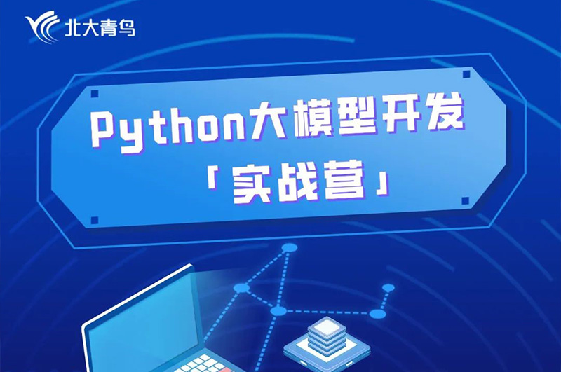 python大模型開發